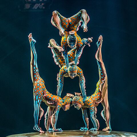 kurios_highlights_contortion_480x480