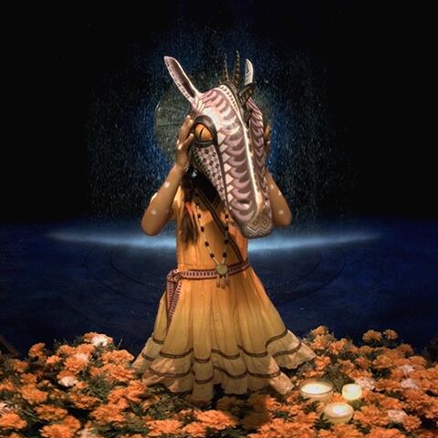 Through the Masks of LUZIA