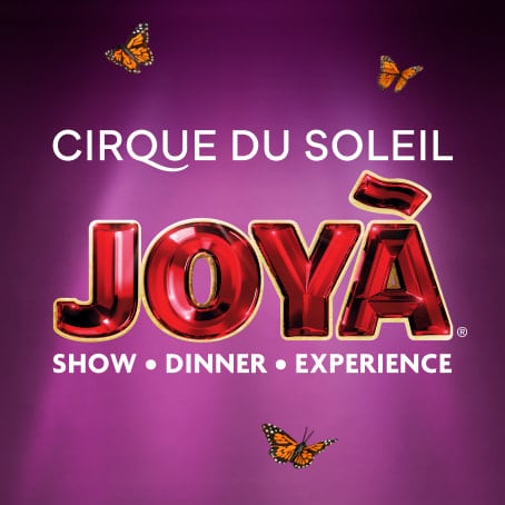 JOYÀ