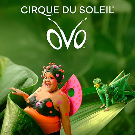 Cirque du Soleil OVO